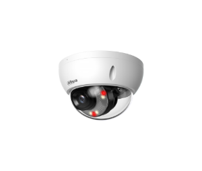 2MP Smart Dual Light Fixed-focal Dome WizSense Network Camera