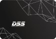 SSD DSS 120GB 2.5 inch