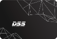 SSD DSS 240GB 2.5 inch