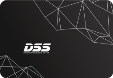 SSD DSS 256GB 2.5 inch
